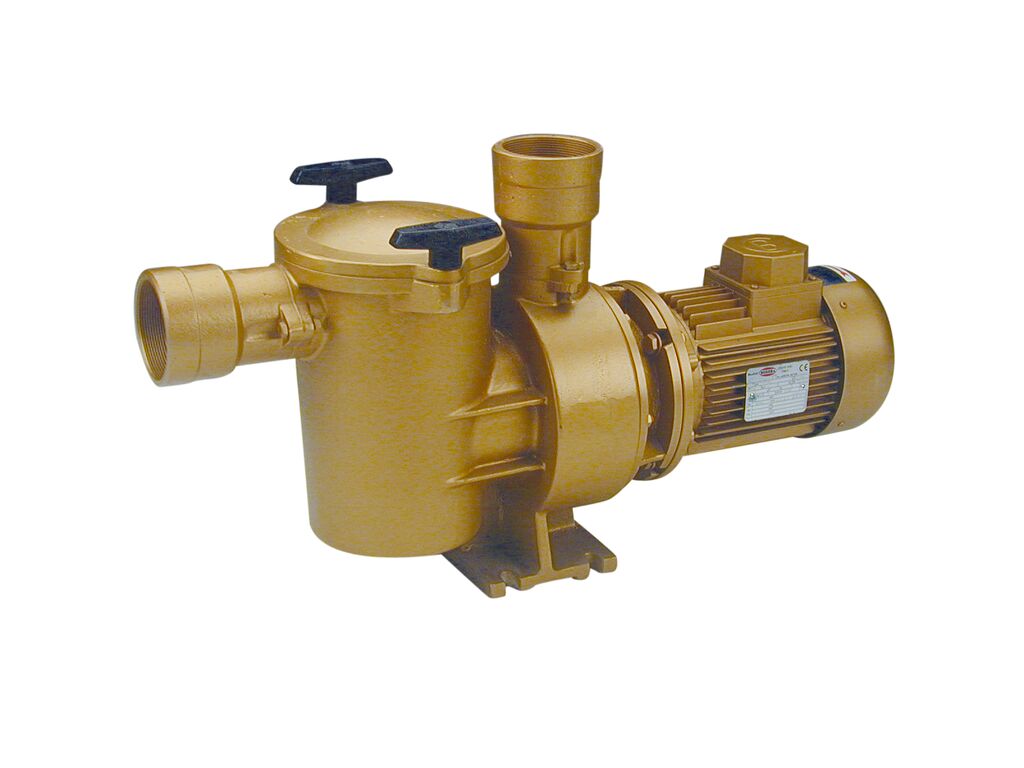01237 | Power 2.20 kW (3 HP) Connection DN 66-21/2''. Voltage 230/400 V III