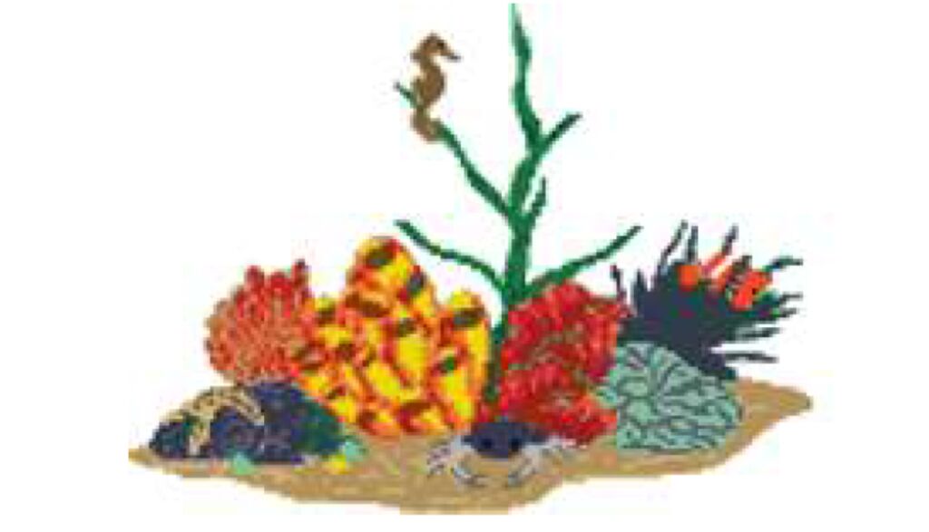 Seebottom-103 | Glass mosaic dration see bottom/M103