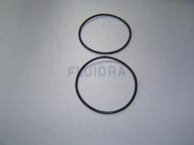 4405010375 | SUCTION / RETURN GASKETS