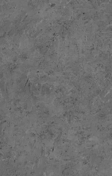 35117103F_309231_ALIVE_Gris_35117103F.jpg