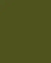 00328006F_309227_Vert_Naturel_00328006F.jpg