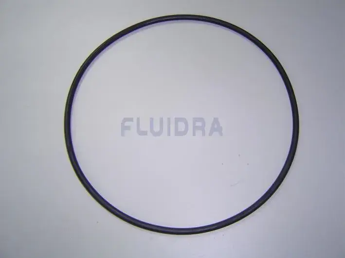 4405010440 | O' RING D 180X5